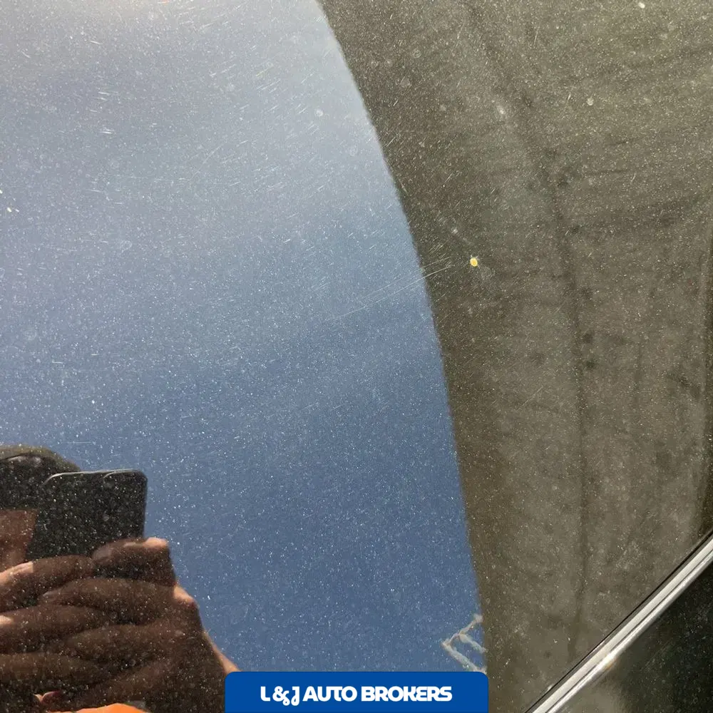 2024 Lexus NX 450h+ F SPORT Handling