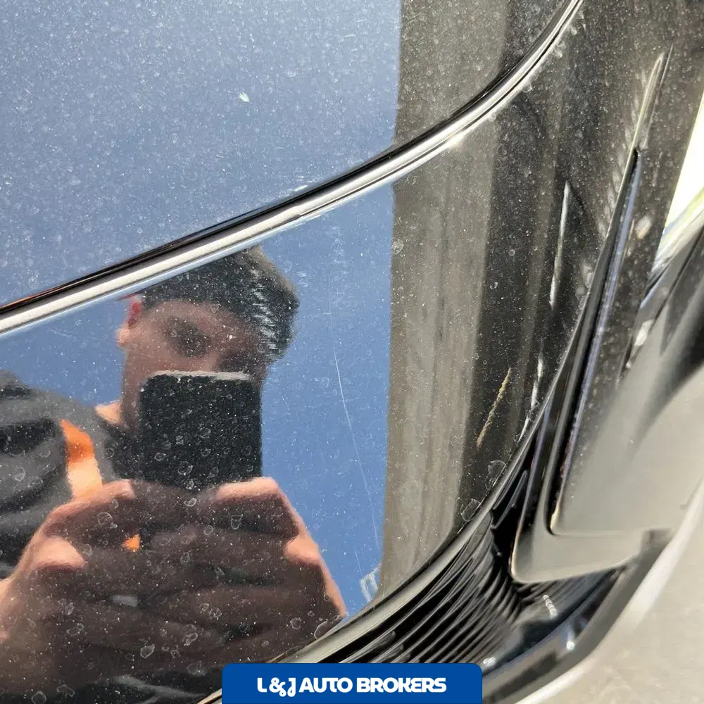 2024 Lexus NX 450h+ F SPORT Handling