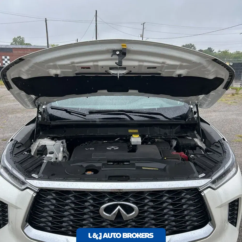 2024 Infiniti QX60 Autograph