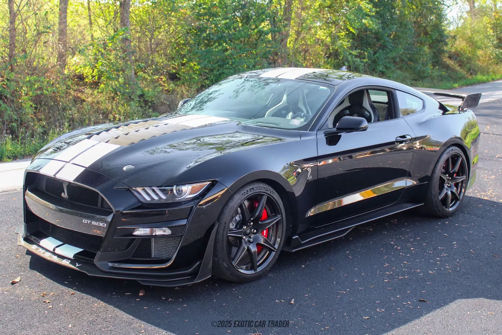 2022 Ford Mustang Shelby GT500