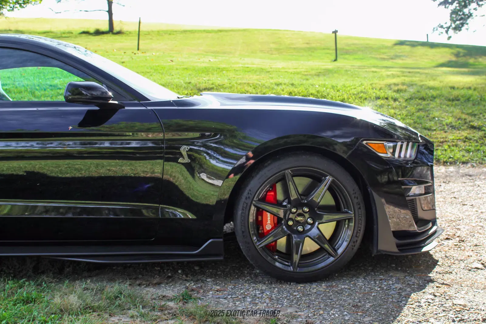 2022 Ford Mustang Shelby GT500