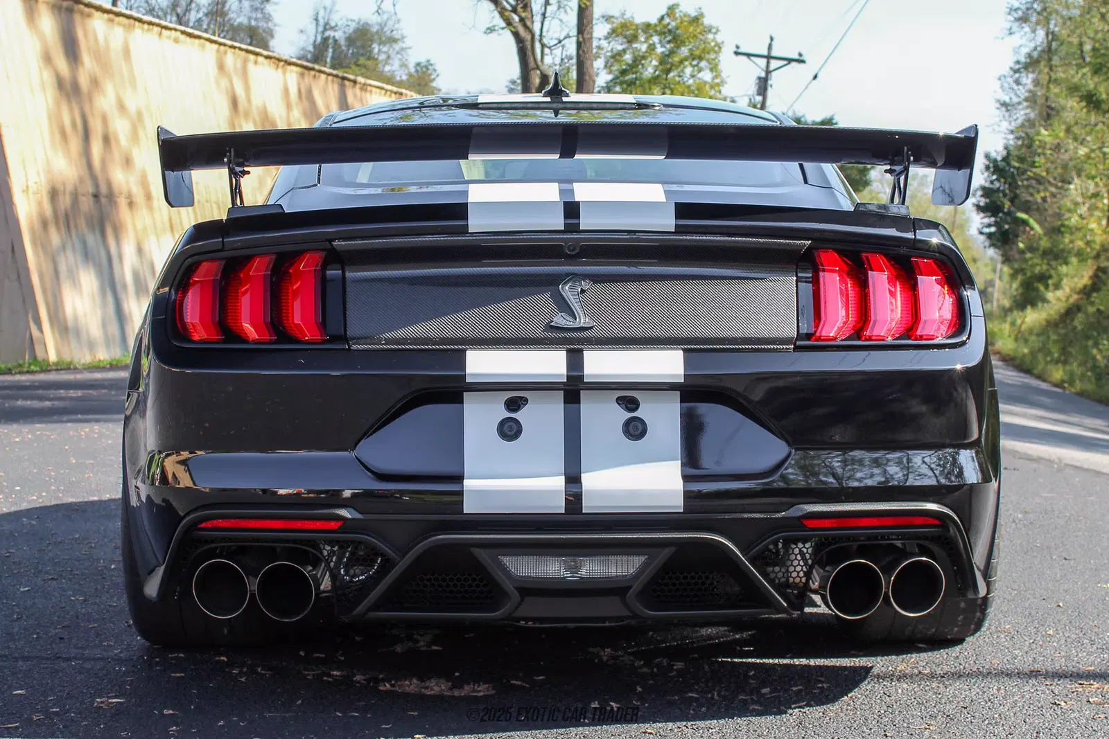 2022 Ford Mustang Shelby GT500