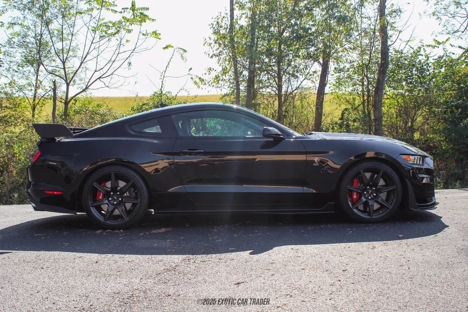 2022 Ford Mustang Shelby GT500
