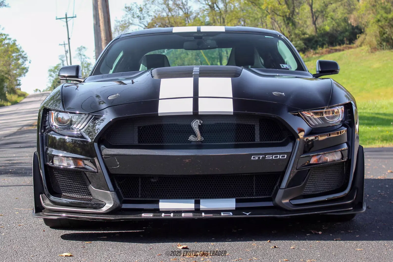 2022 Ford Mustang Shelby GT500