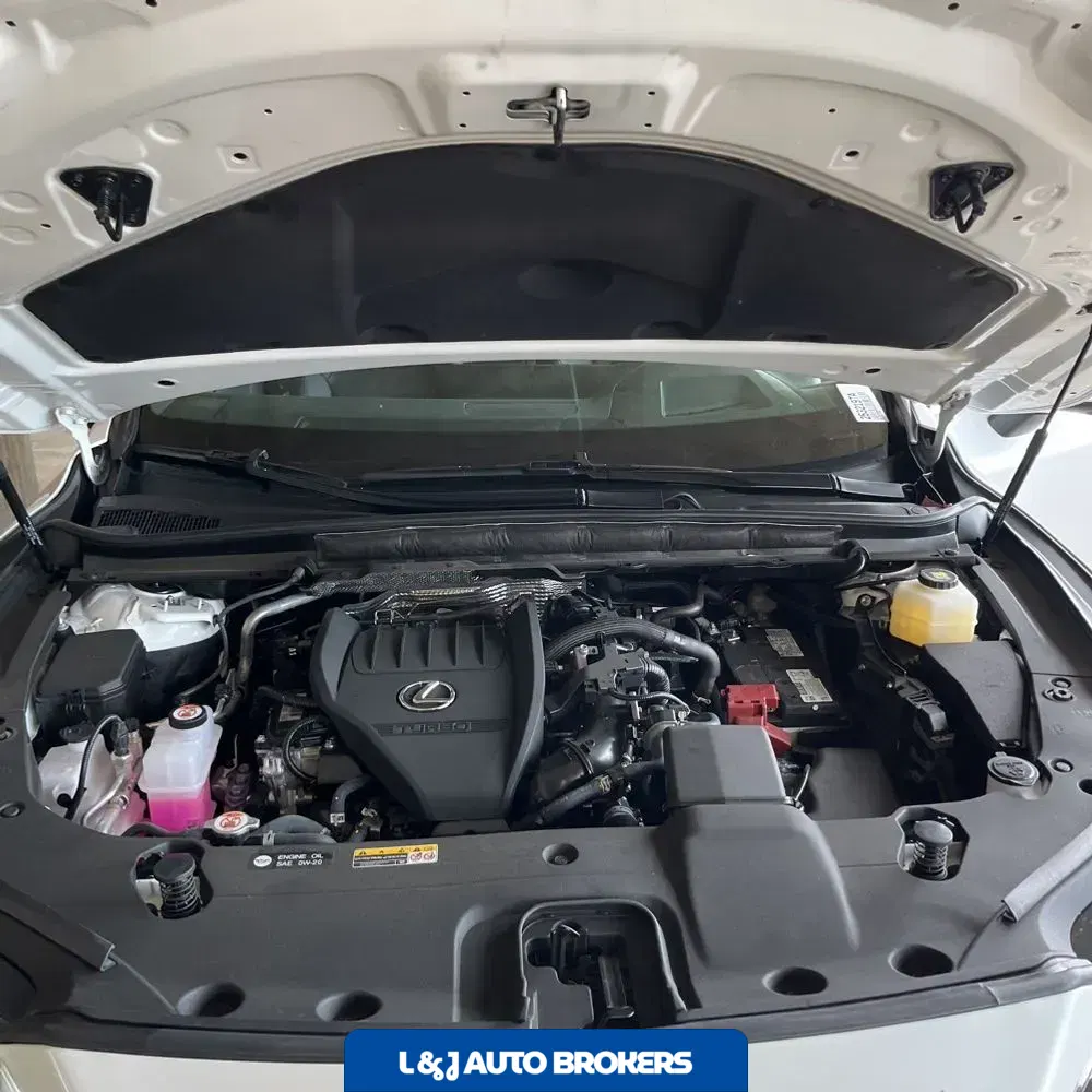 2024 Lexus RX 350 Premium+